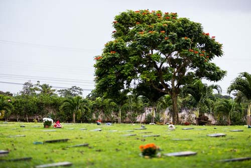 AL contará com serviço privado de cremação de corpos a partir de 2015
