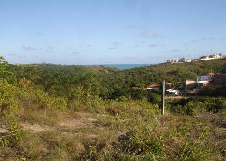 Corpo de mulher é encontrado carbonizado e decepado em Maceió