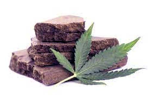 PM apreende mais de 12 Kg de maconha em São José da Laje