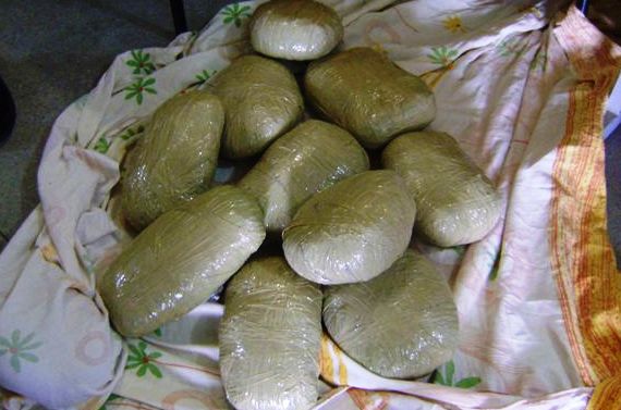 Dupla é presa com mais de 16kg de maconha em São Sebastião