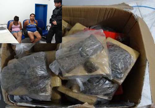 Bope apreende 27 quilos de maconha no bairro do Feitosa