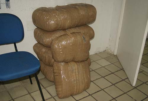 Polícia Militar apreende 50 quilos na Al-101