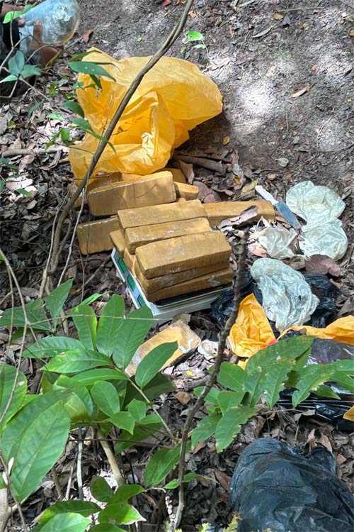 PM encontra quase 80 quilos de maconha enterrados em área de mata na Grota do Rafael
