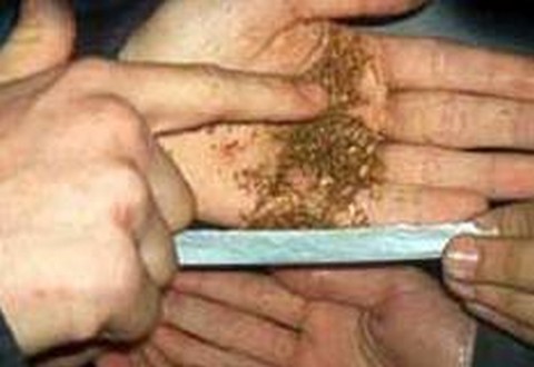 Sociedade não quer liberar maconha, diz presidente da CCJ