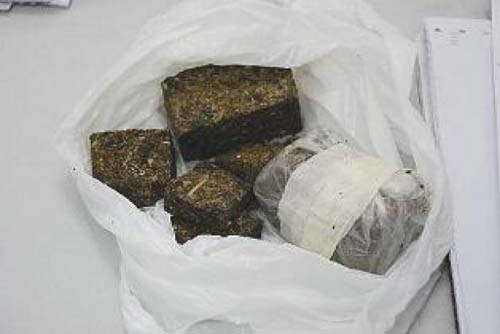 Polícia apreende 1 quilo e 400 gramas de maconha que vinha para União dos Palmares 