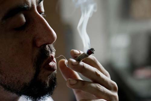 Uruguai deve aprovar mercado legal para a maconha nesta terça-feira