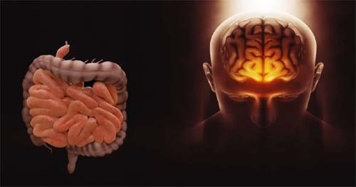 Microbiota intestinal pode ajudar a entender casos de depressão