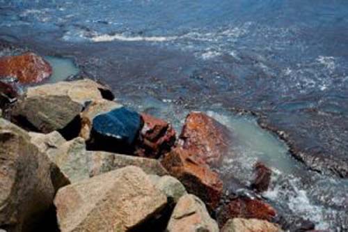 MPF recorre para que Justiça obrigue governo federal a acionar plano de emergência contra manchas