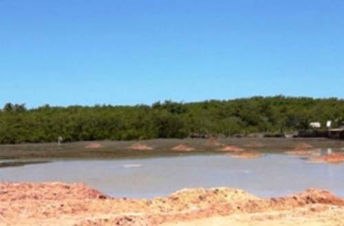 Corpo de homem é encontrado em manguezal no Pontal da Barra, em Maceió