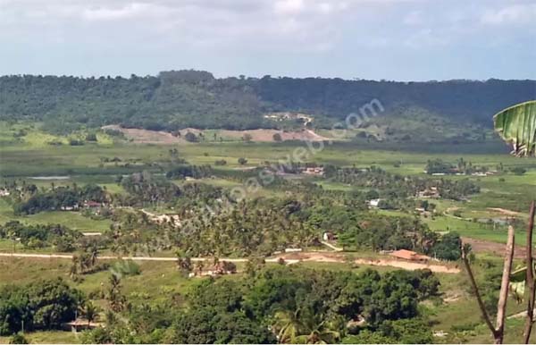 Homem desaparece após entrar em mangue para pescar caranguejos na zona rural de São Miguel dos Campos