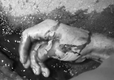 Ladrões degolam trabalhador rural para roubar bicicleta em Teotônio Vilela