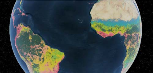 Restaurar 30% de áreas degradadas do planeta pode salvar 71% de espécies da extinção