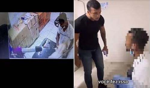 Defensoria Pública: homem que matou cachorro não foi condenado por homicídio