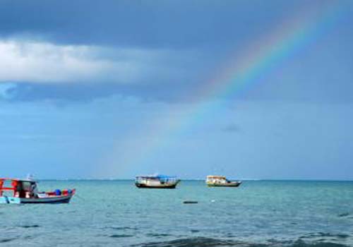 Maragogi e Japaratinga anunciam data do 4º Festival Gastronômico da Lagosta