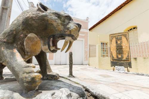 Tragédia em Maravilha: Bebedeira na Zona Rural Termina em Homicídio