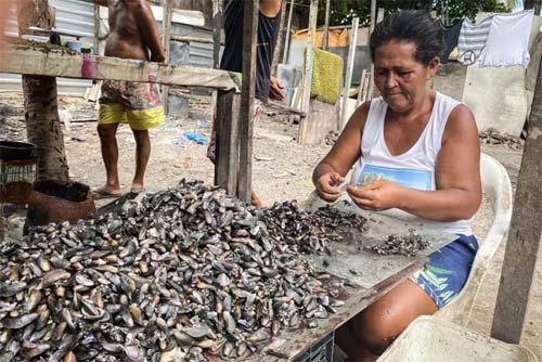 Em Maceió, moradoras de favela dependem de auxílio e doações para comer