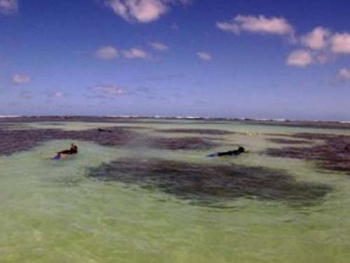 Corpo de turista desaparecida no mar em Maragogi é encontrado em Pernambuco