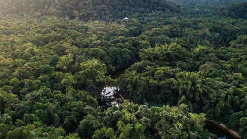Mata Atlântica mudará mais até 2050 do que nos últimos 21 mil anos