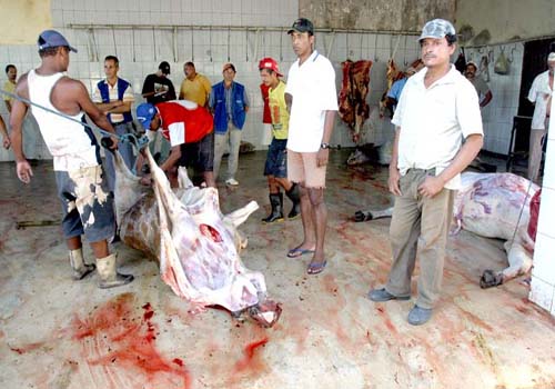 Ministério do Trabalho pode interditar mais 15 matadouros em Alagoas