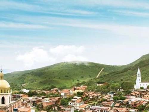 Sertão: Idoso é surpreendido por abelhas e morre após tentar se livrar de ataque se jogando em reservatório