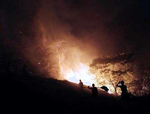 ncêndio atinge pasto e mata fechada de fazenda em União dos Palmares