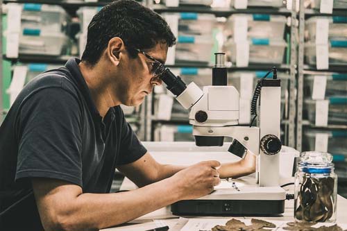 MEC e MDIC promovem evento sobre propriedade intelectual no ensino brasileiro