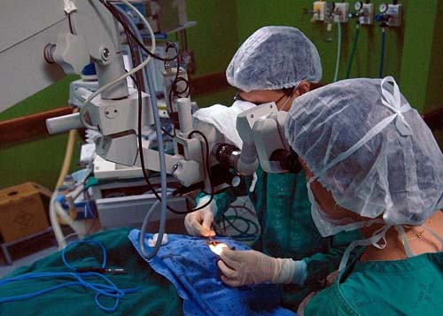 Medicamento essencial para transplantes de medula óssea pode faltar a partir de junho