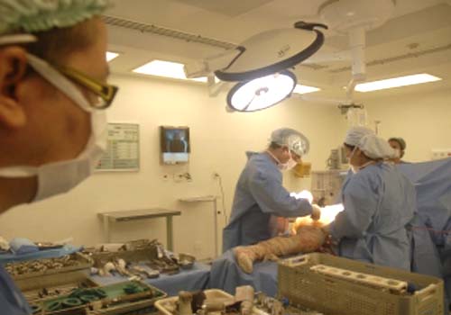 Sudeste concentra duas vezes mais médicos que o Norte