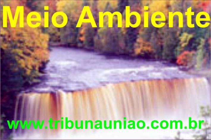 Meio Ambiente