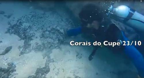 Mergulhadores encontram petróleo no fundo do mar de Porto de Galinhas