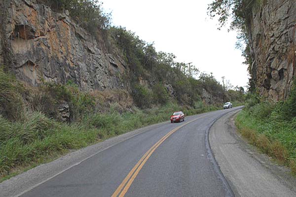 Mulher é encontrada morta com tiro na cabeça na BR 104 nas proximidades de Messias
