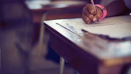 Metas da educação podem não ser alcançadas até 2024, alerta TCU