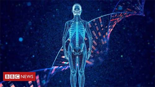 O que é microRNA, cuja descoberta levou ao Prêmio Nobel de Medicina de 2024