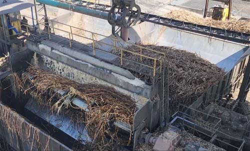 Moagem da Safra 24/25 é Encerrada em Alagoas com Queda na Produção de Cana, Mas Alta no Açúcar