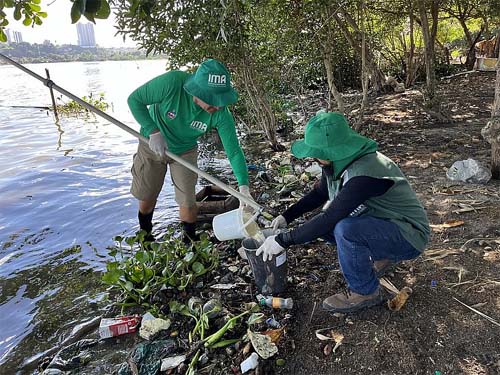 Mortandade de peixes na Laguna Mundaú não teve relação com evento da mina 18, diz IMA