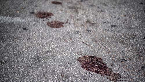 Negros são maioria dos mortos em ações policiais