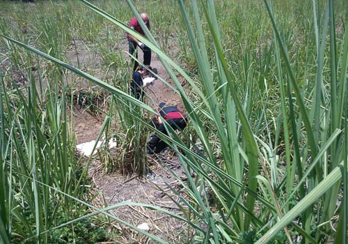 Homem é encontrado morto em suposto ritual de magia negra