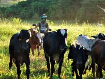 No Nordeste, motos 