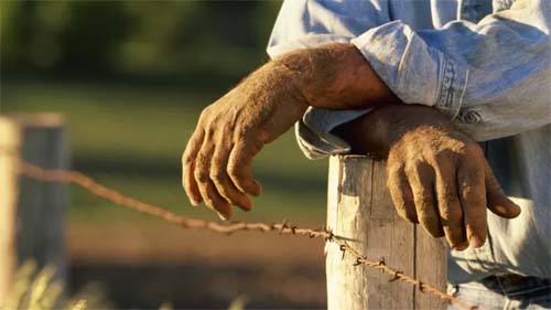 Movimento Sem Terra invade duas fazendas na Bahia