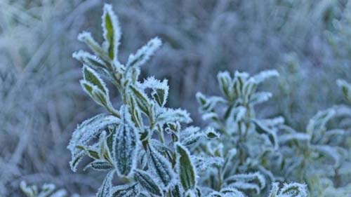 Mudanças climáticas: os preocupantes sinais que unem frio recorde no Brasil a enchentes e calor pelo mundo