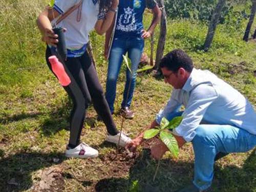 Prefeitura e Com-vidas realizam plantio de mudas na área do antigo lixão de Limoeiro de Anadia