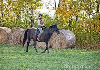 Mulher morre durante cavalgada em Teotonio Vilela