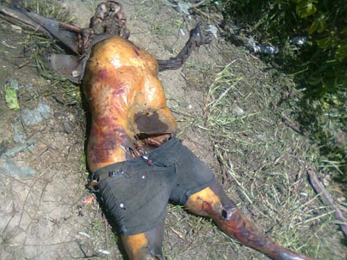 Polícia encontra mulher devorada por urubus no Benedito Bentes em Maceió