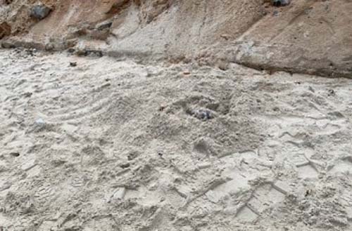 Polícia localiza suspeito de ter matado e enterrado mulher na Praia do Francês