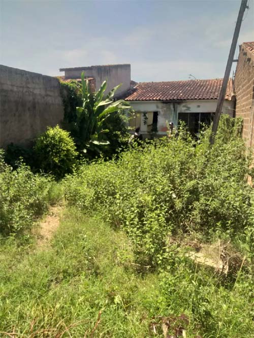 Mulher é encontrada morta seminua em terreno baldio 14/12/2022 18:07 Da Redação  Deixe um comentário