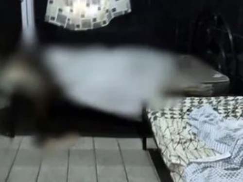 Mulher é encontrada morta em quarto de pousada no Centro de Delmiro Gouveia