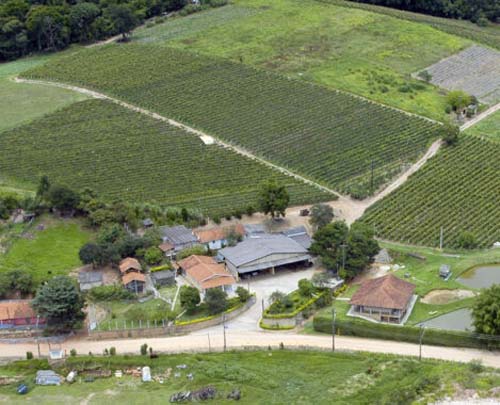 Mais de 400 Municípios podem ter convênios do ITR denunciados por falta de DTE