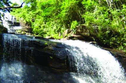 Equipe do IMA monitora trecho da BR 101 dentro da APA de Murici