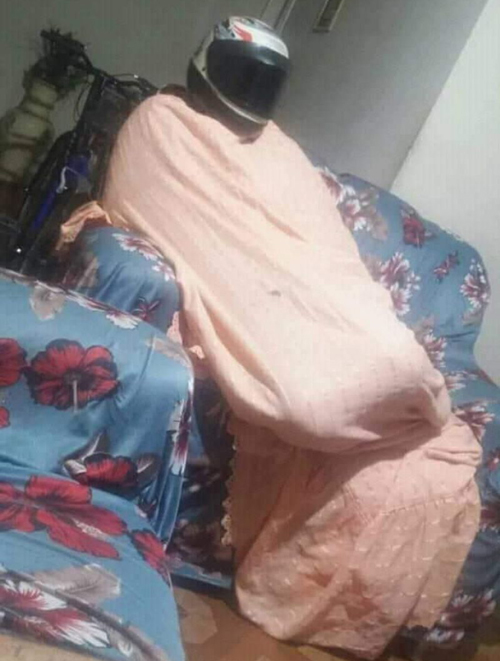 Muriçocas ganham as redes sociais em União dos Palmares e infestação já é uma realidade