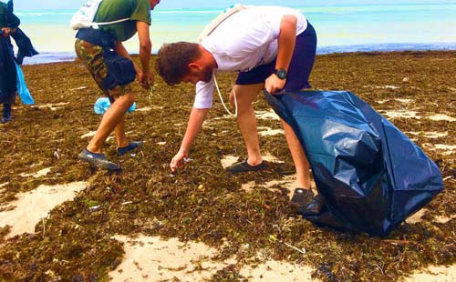 Mutirão retira lixo trazido pelo mar para praias de Porto de Pedras